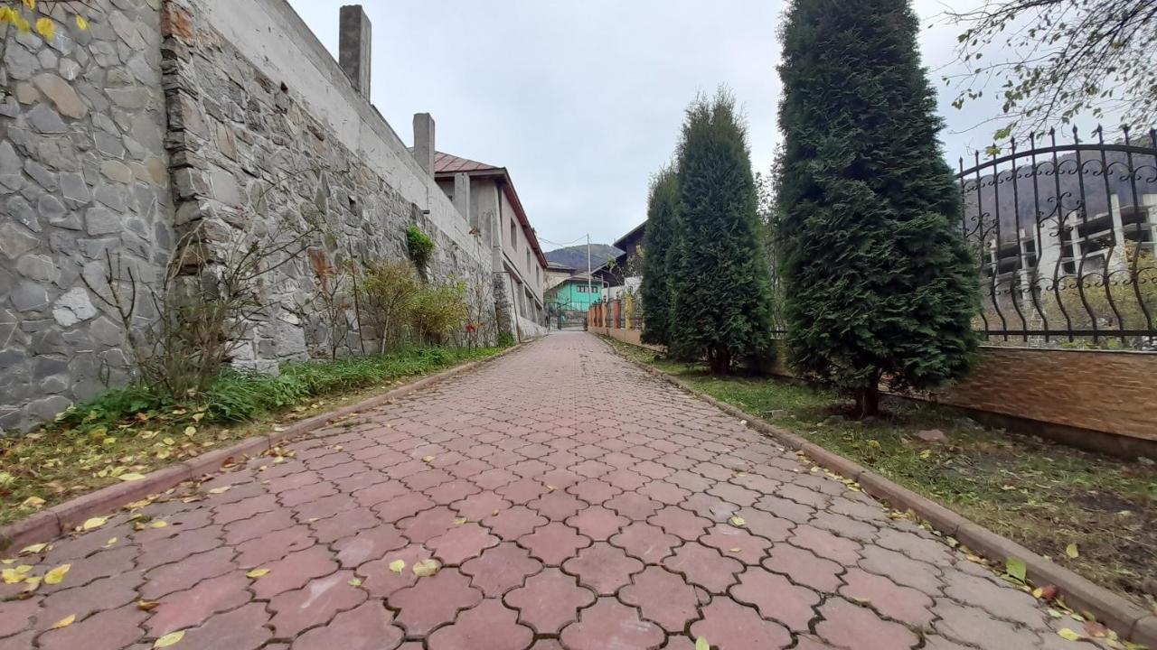Pensiunea Lucy Guest house