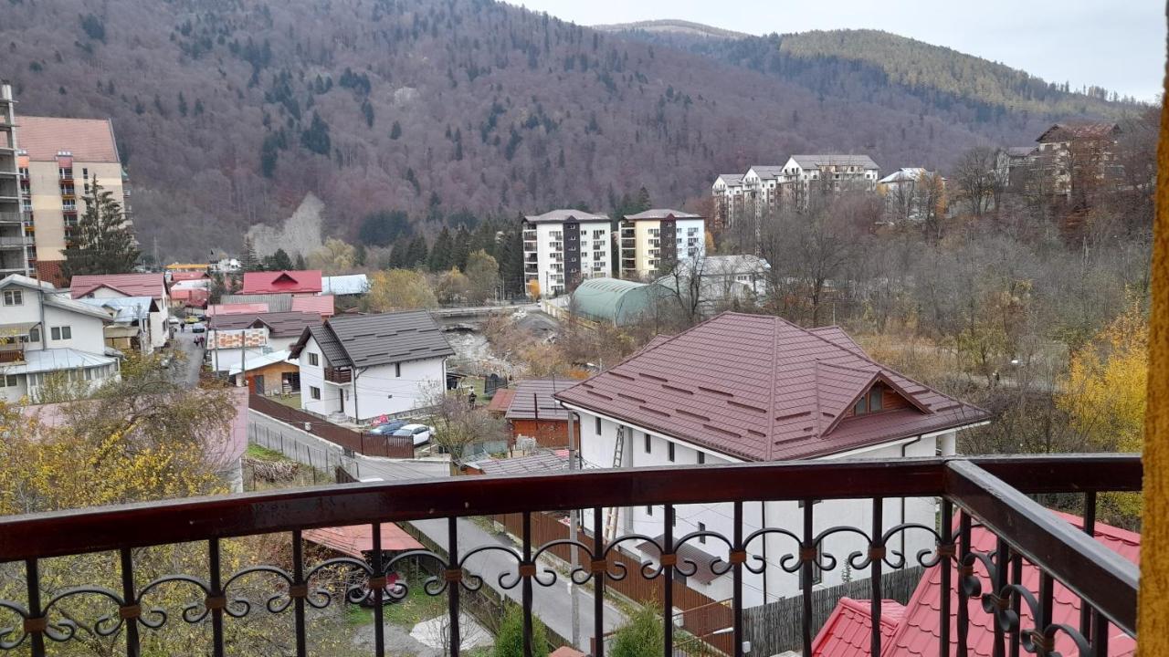 Guest house Pensiunea Lucy *