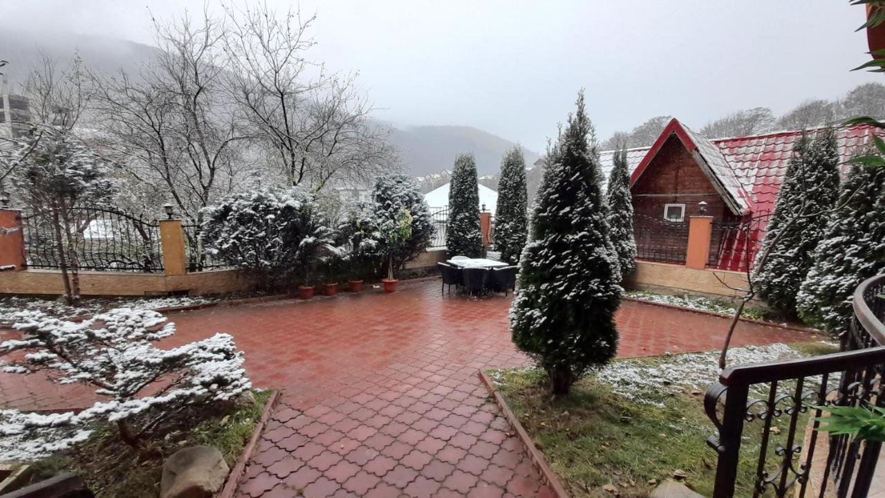 Pensiunea Lucy Guest house Sinaia