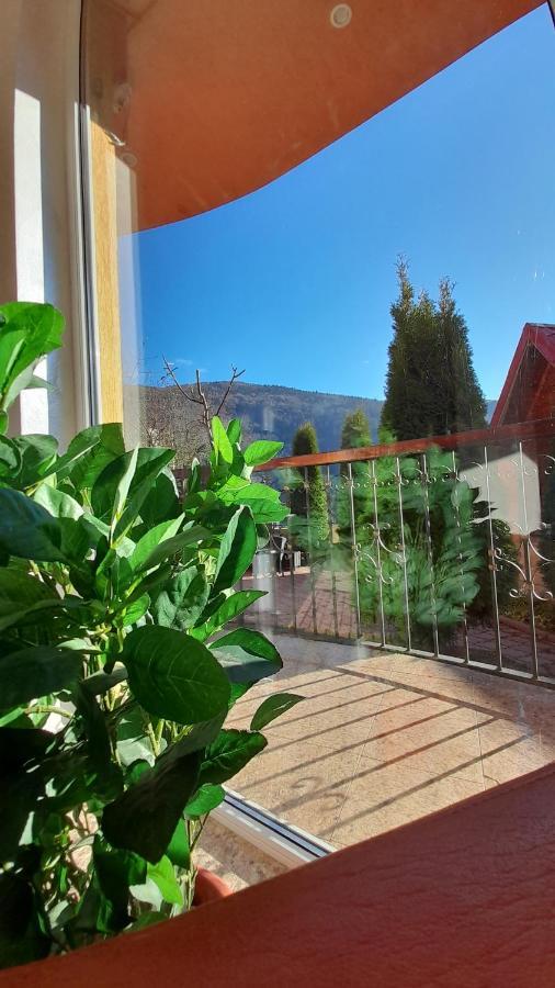 Pensiunea Lucy Guest house