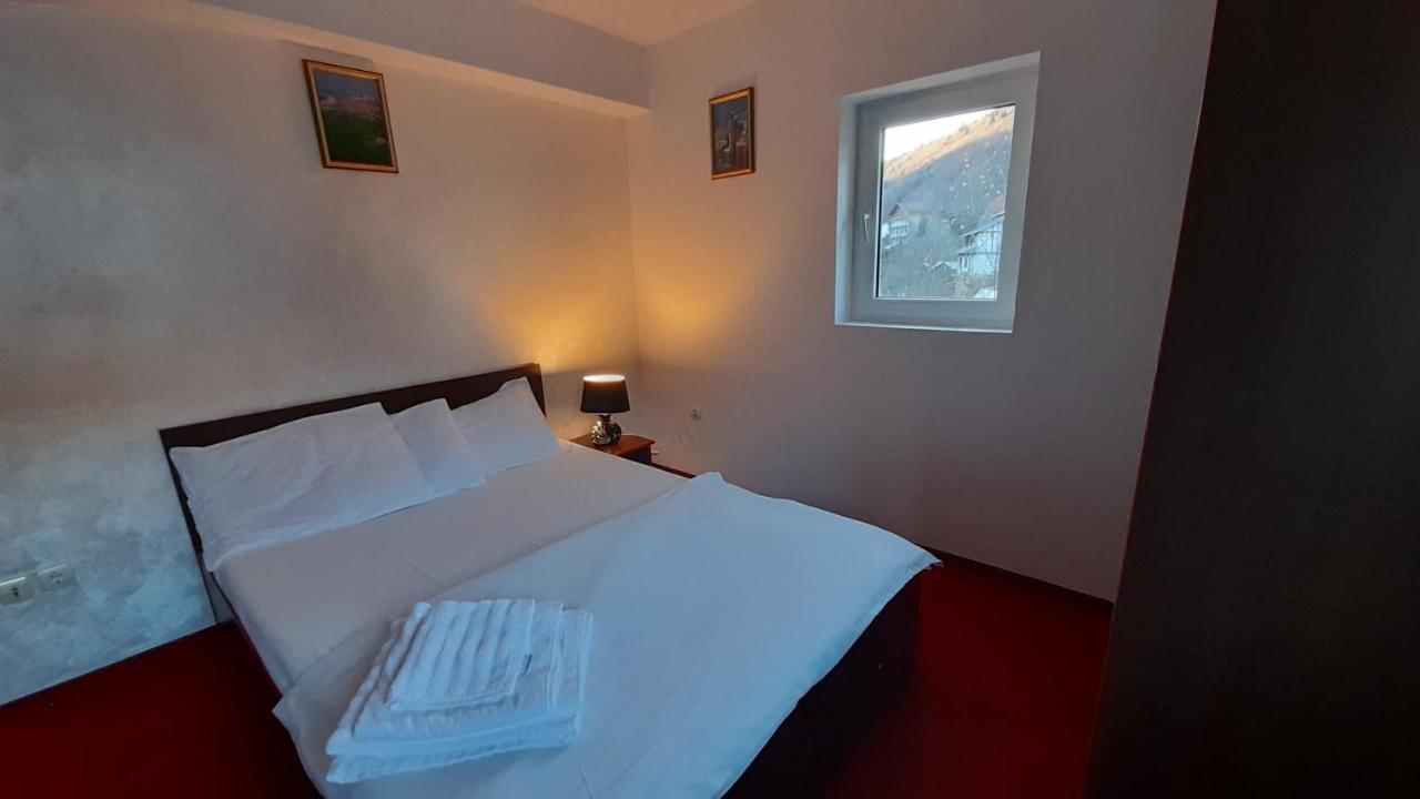 Guest house Pensiunea Lucy