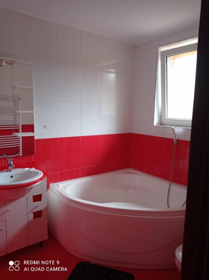 Guest house Pensiunea Lucy *