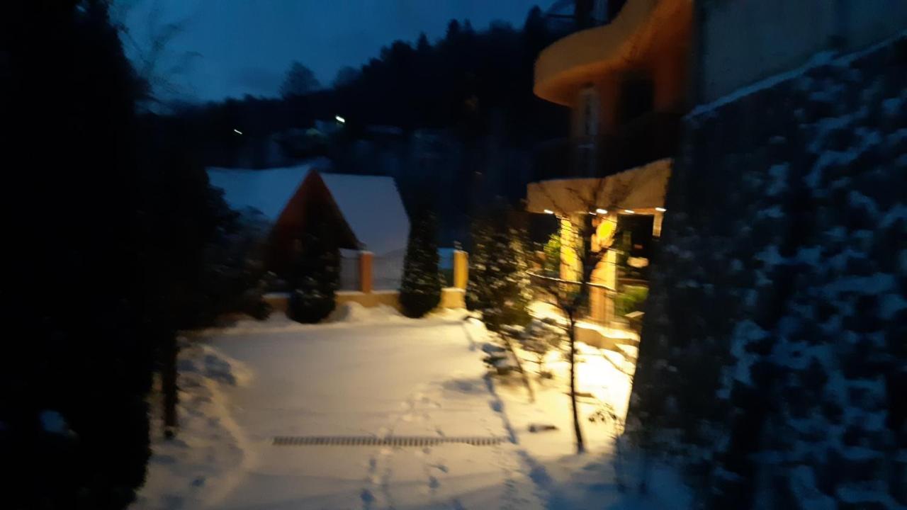 Pensiunea Lucy Guest house *