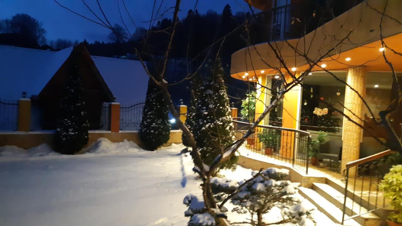 Pensiunea Lucy Guest house *
