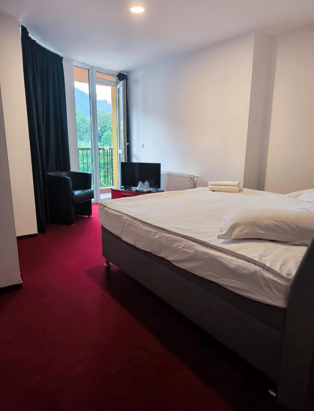 Guest house Pensiunea Lucy